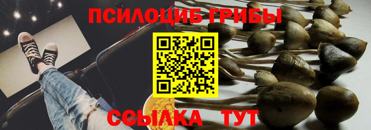 Брянск  Галлюциногенные грибы ЛСД  Вход с VPN 